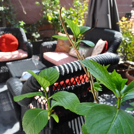 Faik Pasha Special Category Beyoglu 4* 伊斯坦布尔